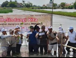 Yayasan SIC Bersama Iwan Fals Menanam 1000 Pohon Mangrove di Wisata Alam Mangrove Desa Sedari