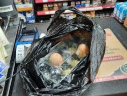 Wah !! Konsumen Kecewa Dapatkan Telur Kadaluarsa Di Supermarket