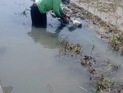 Program Dana Desa Sindangmukti Di Duga Syarat Penyimpangan, LBH HAPI Karawang Berencana Lapor APH