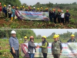 Perum Perhutani Bersama Green Ambasador Laksanakan Giat Penanaman Pohon